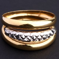 Ring of Colors Yellow Gold and White Gold