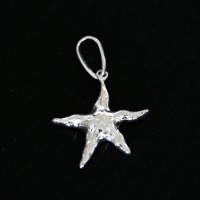 Pendant 925 Silver Star of the Sea
