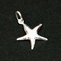 Pendant Silver 925 Star of the Sea