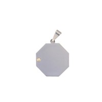 Pendants of Steel and Gold for recording picture  17 mm / 5 g