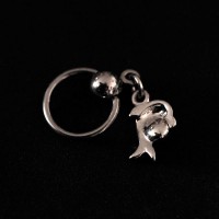 Piercing Acero Cirurgico 316L Captive Dolphin Zirconia 1,2mm x 8mm