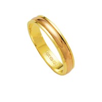 Alliance Gold 18k Gold 750 and Red Width 4.10mm Height 1.50mm