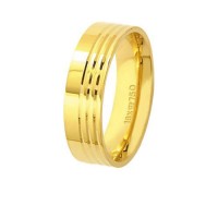 Anatoma de oro 18k 750 Alianza Ancho 6.00mm Altura 1.50mm