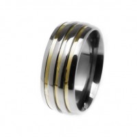 Alliance anatomical 8mm stainless steel with three gold fillets