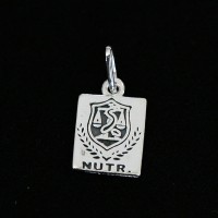 PingentedePrata925Nutrio