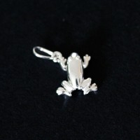 PingentedePrata925Sapo