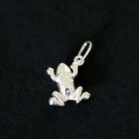 PingentedePrata925Sapo