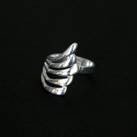 Ring 925 Silver Scales NDA