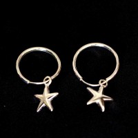 Pendiente estrella de plata 925