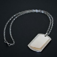 CartierCollarconcolgantedeacerocon35piedraszirconia
