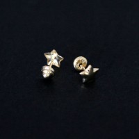 Earring 18k Gold Mini Star