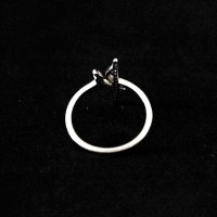 Anillo de Plata 925 Falange Fe