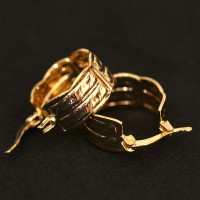 Earring Semi-Jewel Gold Plated Double Ring with Scratches