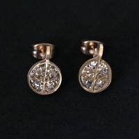 Stainless Steel Earring with Zirconia Stone and Tree of Life