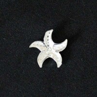 Estrela do Mar Segredo Apaixonado de Prata 925 para Capsula Momentos de Vida
