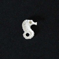 CavaloMarinhoSegredoApaixonadodePrata925paraCapsulaMomentosdeVida