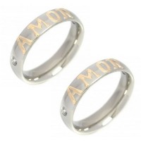 PardeAlianaemAoInox5mmcomPedradeZircniaeApliqueAmoremOuro
