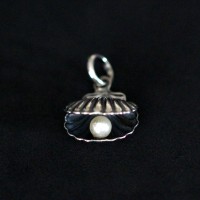 PingentedePrata925ConchacomProla
