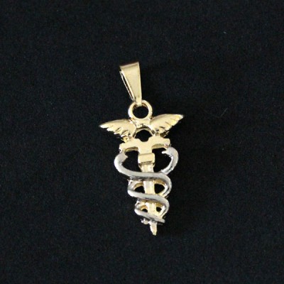 News & Releases: Graduation Pendants / Profession Gold Plated