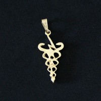 PingenteSemiJiaFolheadoaOuroFisioterapia