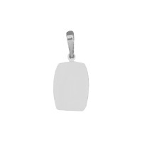 PingentedeOuroBrancocomfotogravada/Fotogravao15.2mmx11.2mm/0.8g