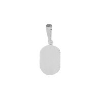 PingentedeOuroBrancocomfotogravada/Fotogravao10.3mmx8.5mm/0.35g