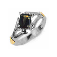 Graduation Ring all in Palladium Silver and Symbols 18k Gold 0750