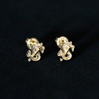 Earring Gold Plated Jewelry Semi Small Wealth Money