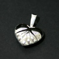 PingentedePrata925CoraocomDetalhes