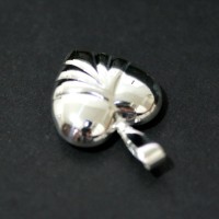 PingentedePrata925CoraocomDetalhes