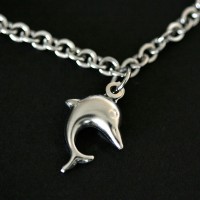 PulseiradeAoInfantilPortuguesaGolfinho