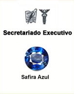 Secretariado Executivo