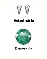 Veterinria