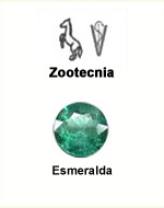 Zootecnia