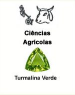 Cincias Agrcolas