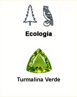 Ecologia