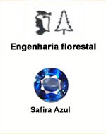 Engenharia Florestal