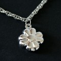 PulseiradeAoRetorcidoMargarida