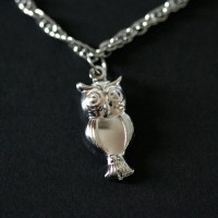 PulseradeaceroretorcidasOwl